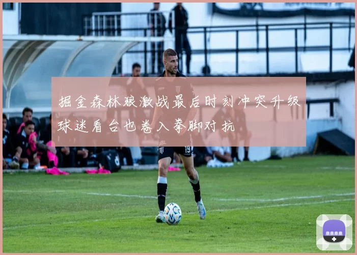 掘金森林狼激战最后时刻冲突升级球迷看台也卷入拳脚对抗