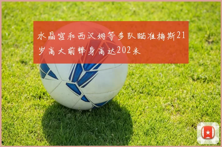 水晶宫和西汉姆等多队瞄准梅斯21岁高大前锋身高达202米